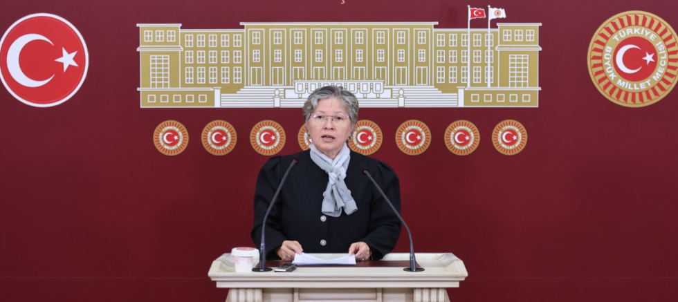 CHP Tekirdağ Milletvekili ve TBMM Katip Üyesi Nurten Yontar: “Tekirdağ’ın Deprem, Çevre ve Su Krizi Görmezden Gelinemez” - GÜNDEM - İnternetin Ajansı